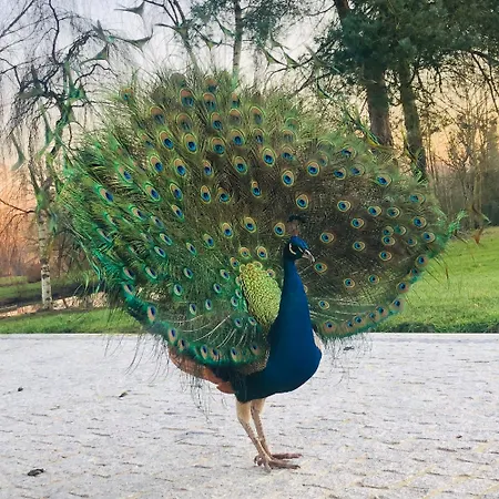 度假居 Domaine De La Ferme De Fourges Flancourt-Crescy-en-Roumois